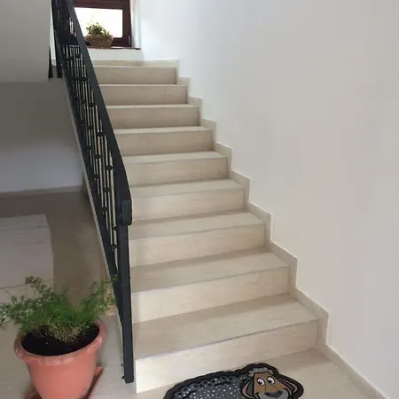 Vendégház Csipke Lovaspanzió